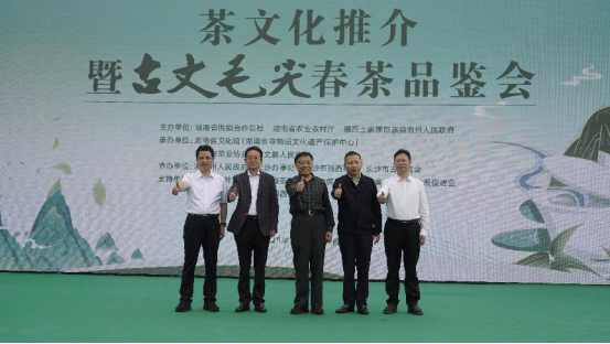 古丈县供销联社积极参加长沙古丈毛尖春茶品鉴会