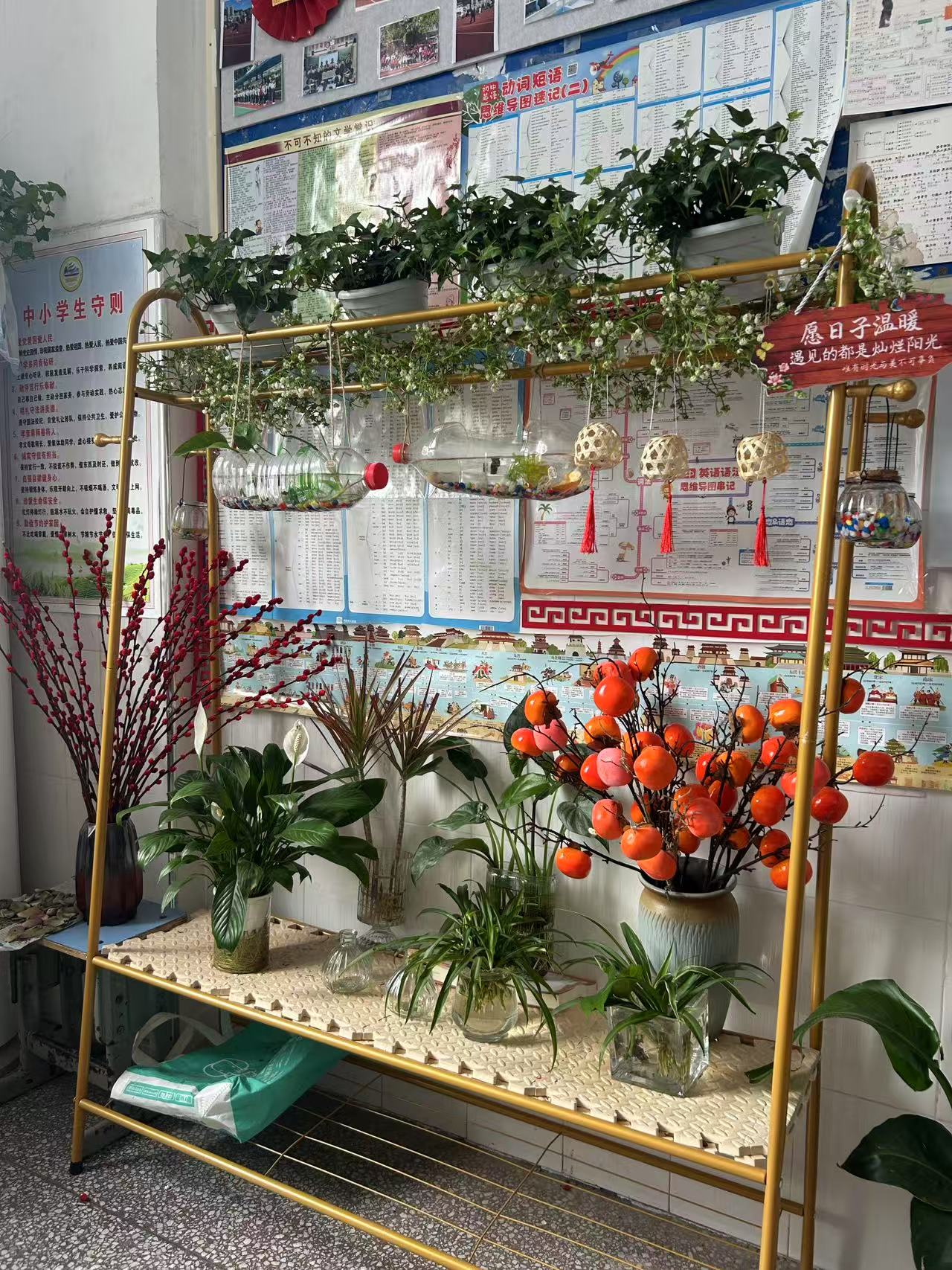 古丈县民族中学：绿植角里藏巧思，五育花开满校园