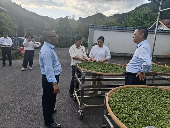 禹丽娜一行赴古丈县深入调研，为供销改革与特色产业发展注入新思路