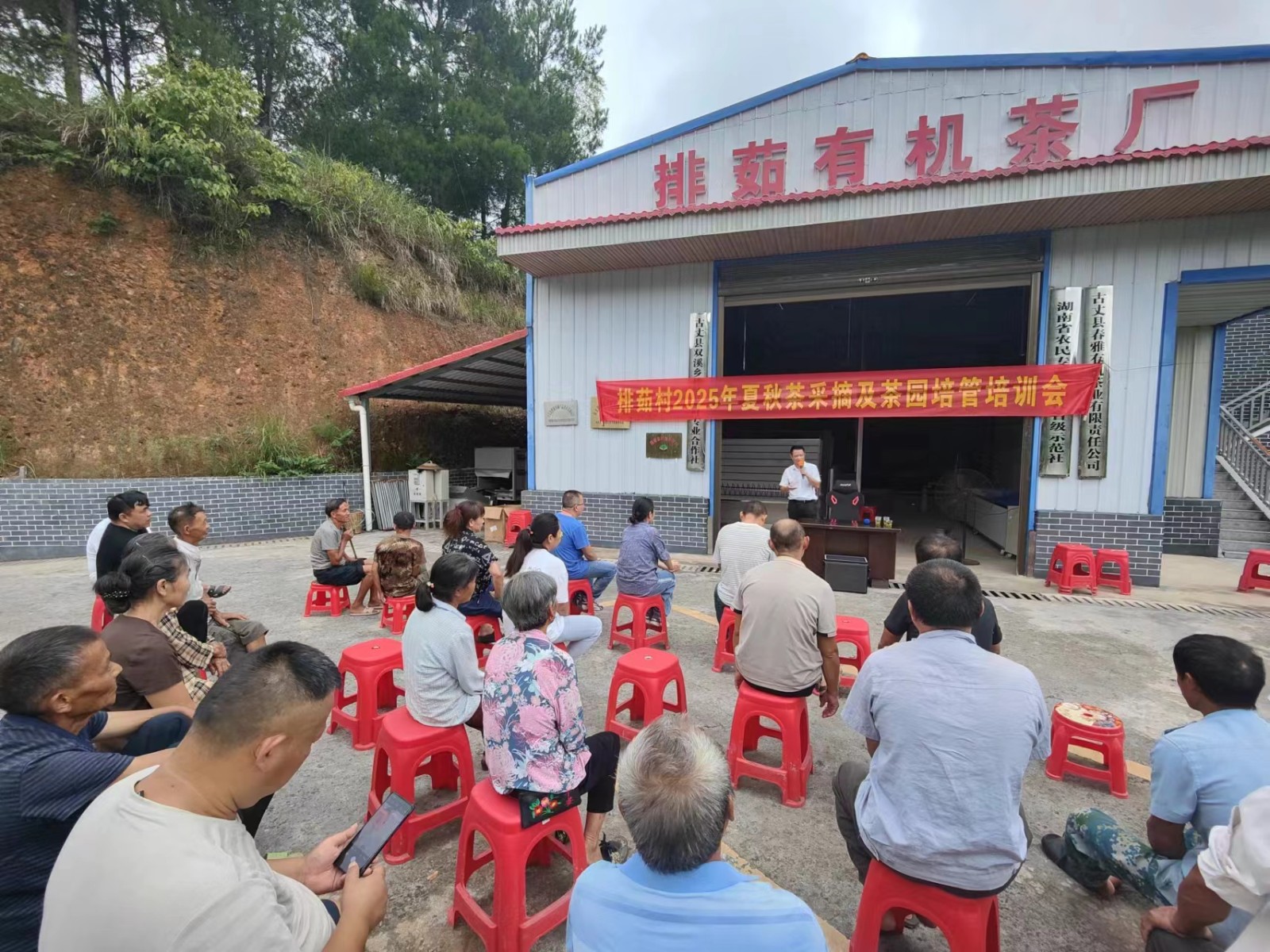 古阳镇排茹村开展夏秋茶采摘及茶园培管培训会