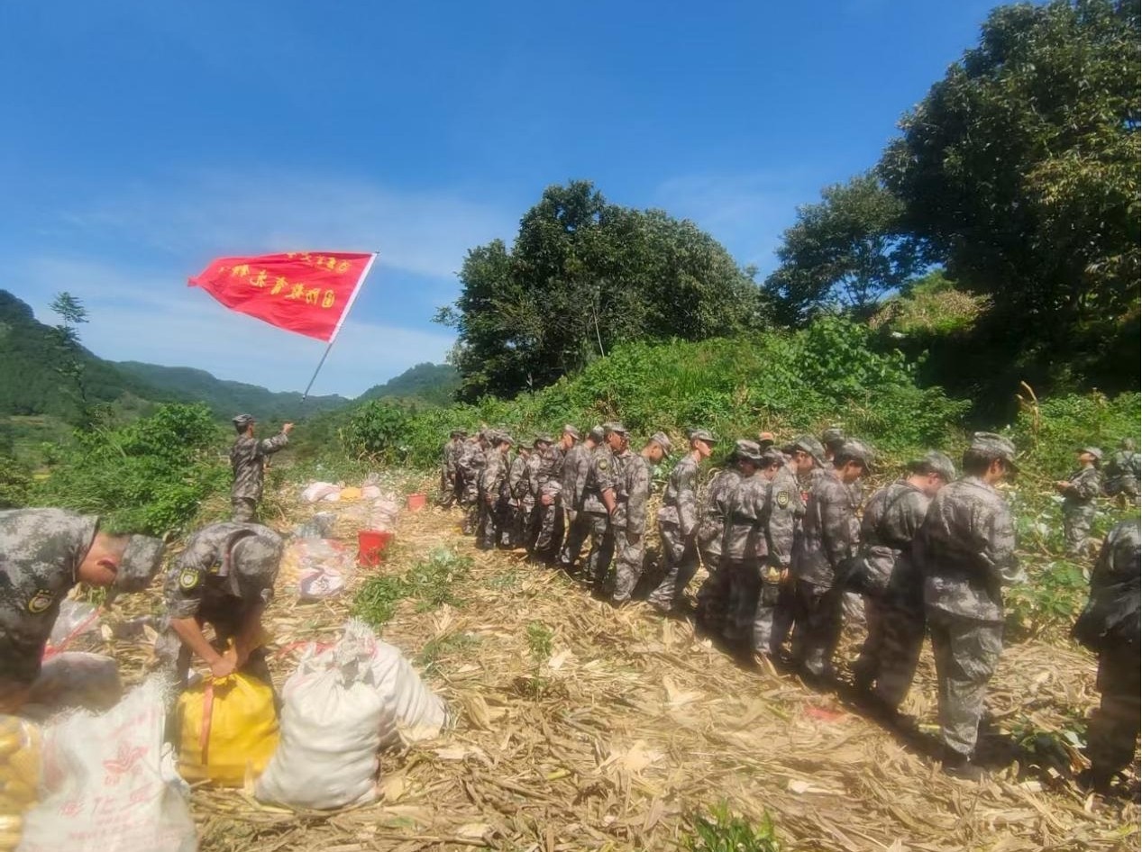 无偿为民办实事   倾心为村解烦忧 ——吉首大学在古丈县坪坝镇助农纪实