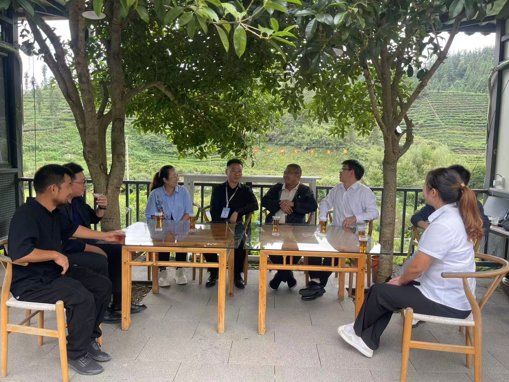 古阳镇：多点联动展特色 赋能湖南省首届村播大赛圆满落幕