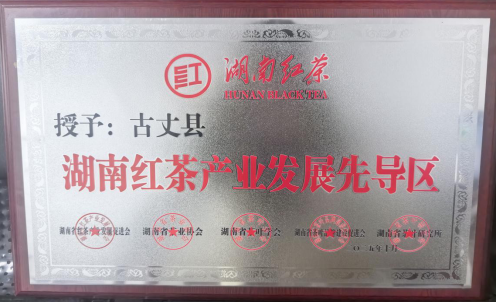 古丈县荣获湖南红茶产业发展先导区称号——多举措推动红茶产业升级与品牌建设成效显著