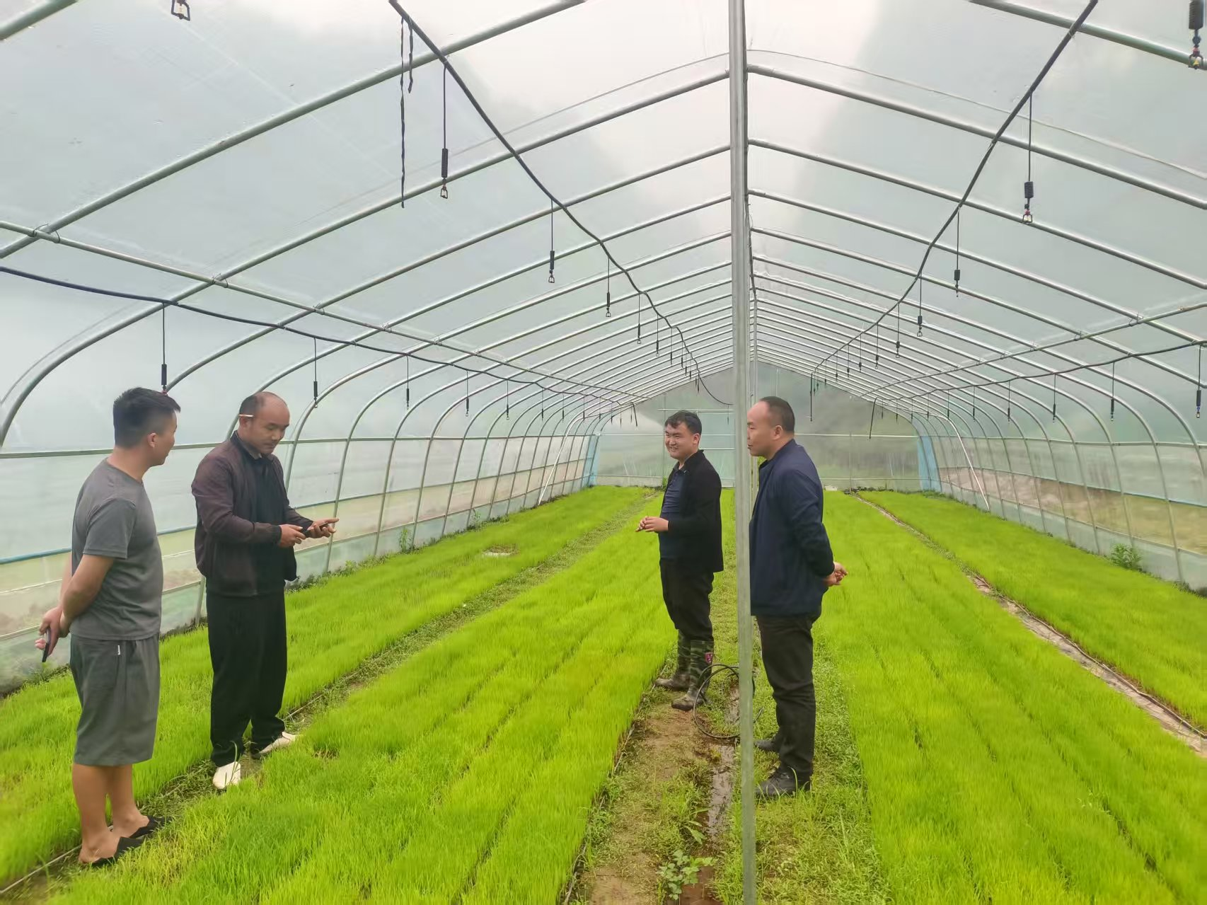 党建引领育新人 四季耕耘促振兴——坪坝镇亚家村后备力量发展产业纪实