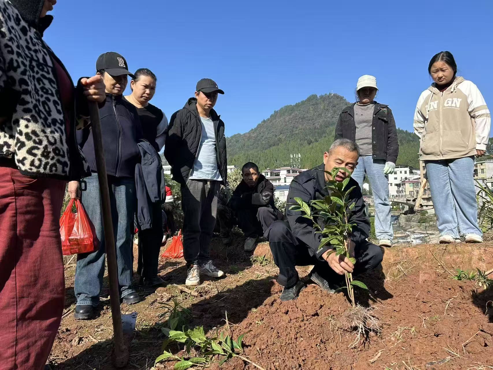田间实操强技能 茶苗新绿促增收——古丈县坪坝镇茶树栽培工培训圆满结业