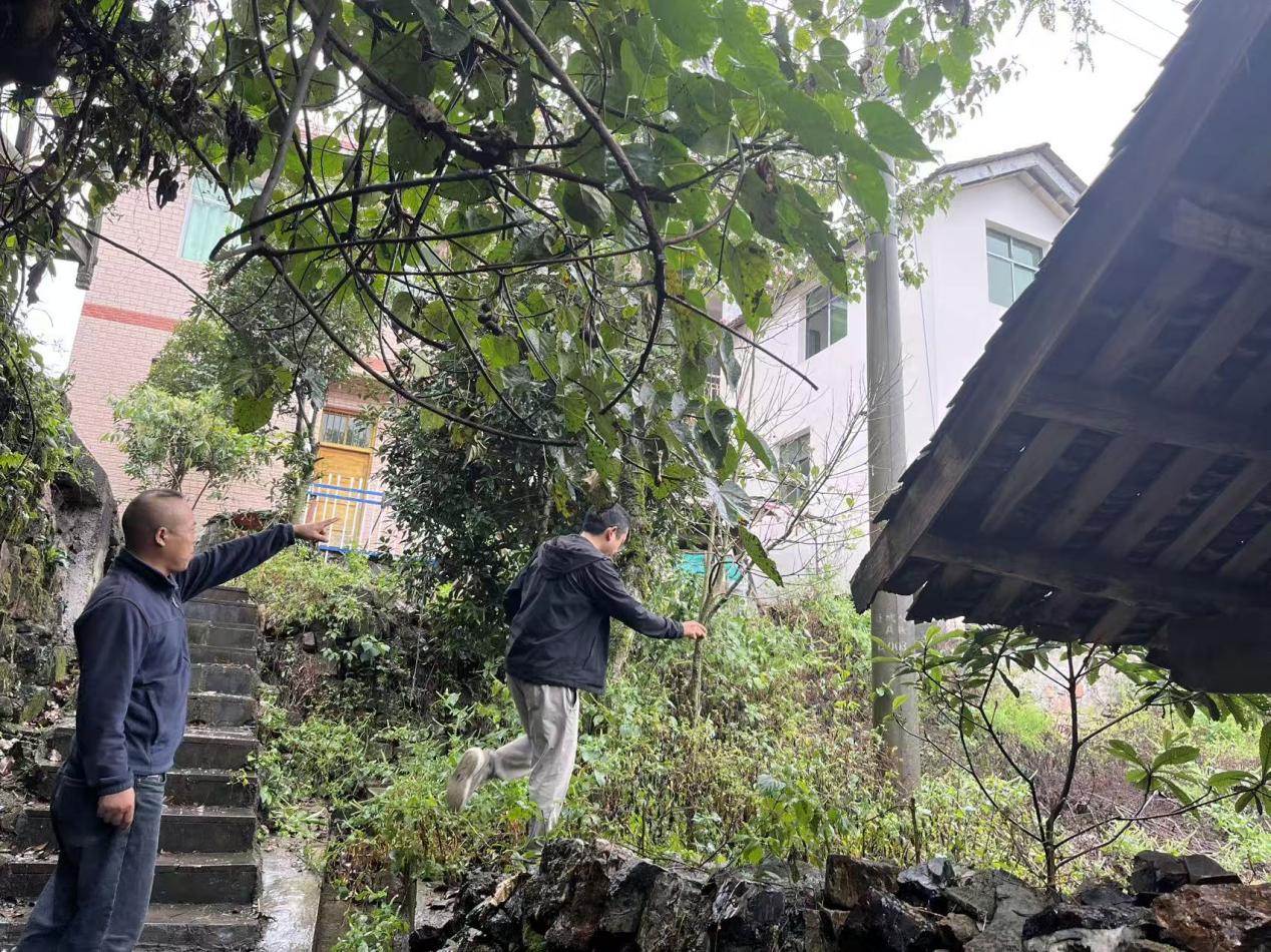 共绘基层治理“同心圆”  擘画和美乡村“幸福卷”——湘西州古丈县坪坝镇基层治理工作纪实