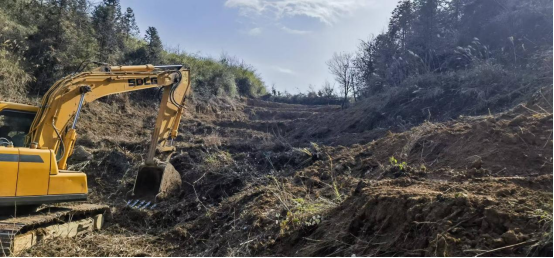 断龙山镇：寒冬烟田耕耘忙 深翻孕育“金叶梦”