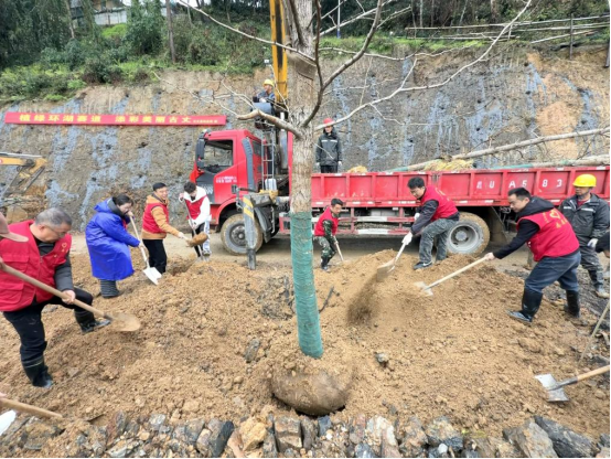 植绿环湖赛道 共建美丽茶乡——县茶投公司开展义务植树主题党日活动