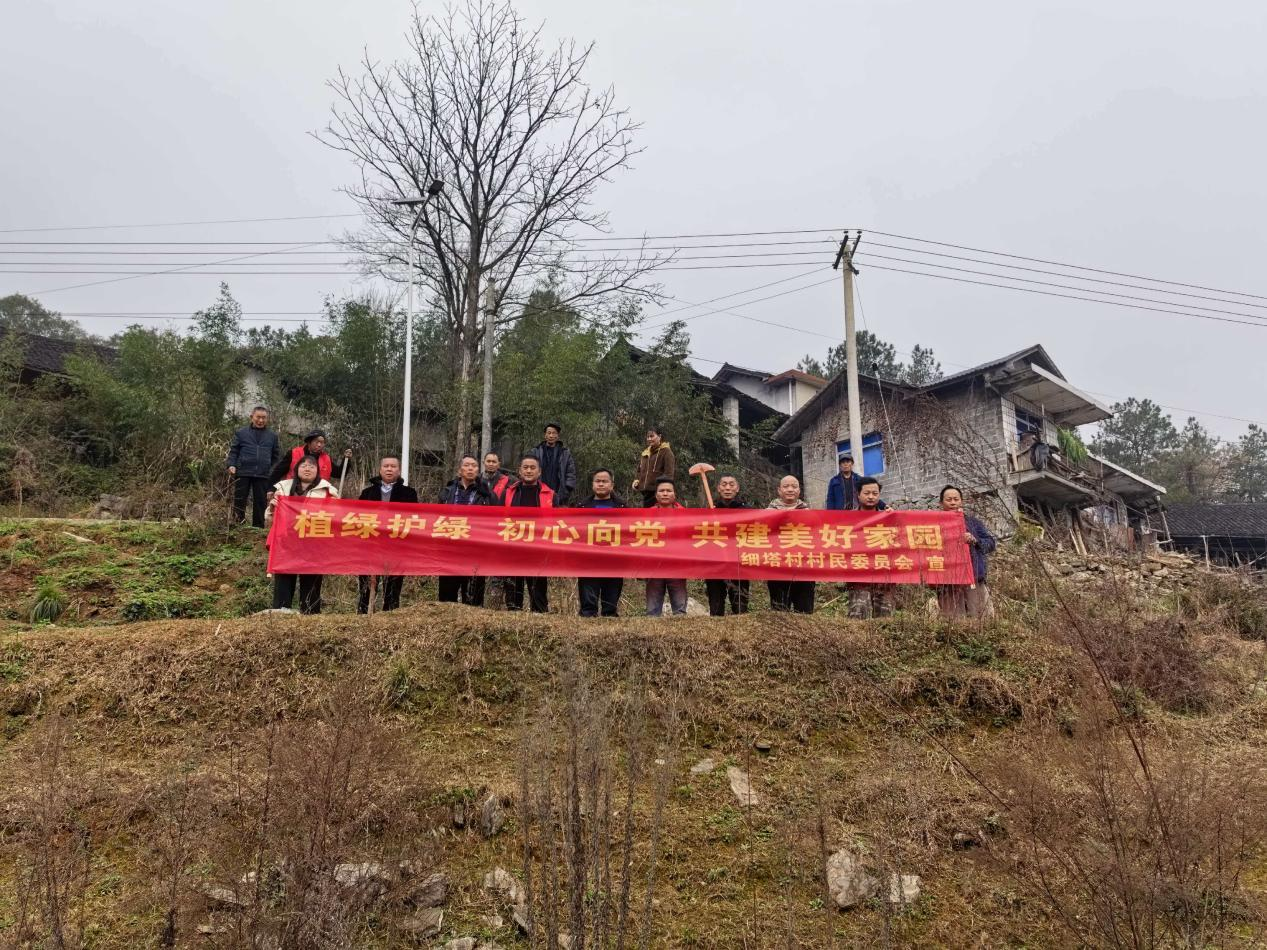 断龙山镇细塔村：党建引领添新绿 植树造林践初心