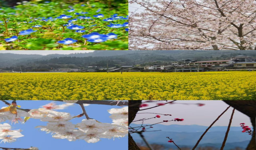 古丈县岩头寨镇： 春耕备耕万象新 多措并举绘丰景