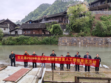 古丈县农业农村水利局：生态损害修复增殖放流  共促人与自然和谐发展