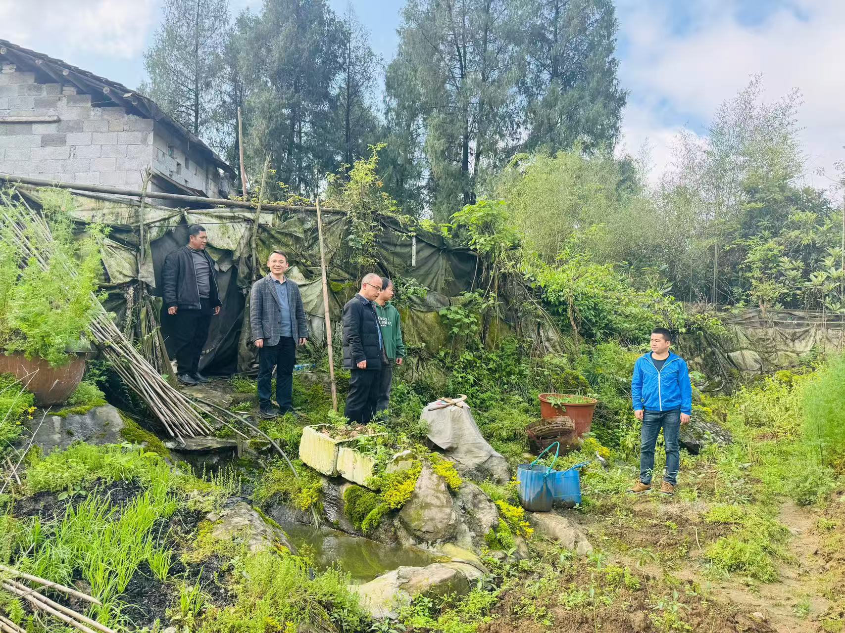 古丈县断龙山镇：空地联动踏查禁种 守牢禁毒安全底线