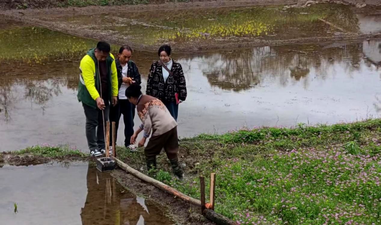 攻坚克难化地界积怨  精细调解护邻里安宁——综治中心镇、村联动精准化解农田边界邻里矛盾