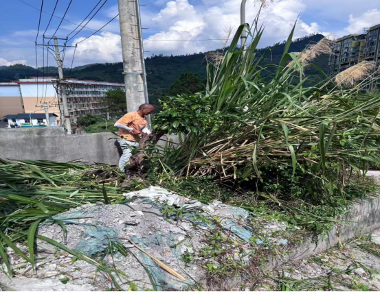 整理环境焕新貌，实干笃行润民生